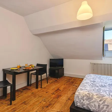 Le Ferneysien Ii - Charming & Downtown Ferney-Voltaire