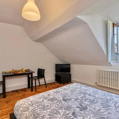 Le Ferneysien Ii - Charming & Downtown
