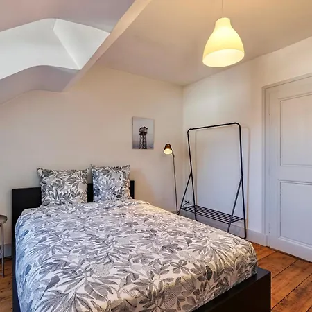 Le Ferneysien Ii - Charming & Downtown 公寓 费内-伏尔泰